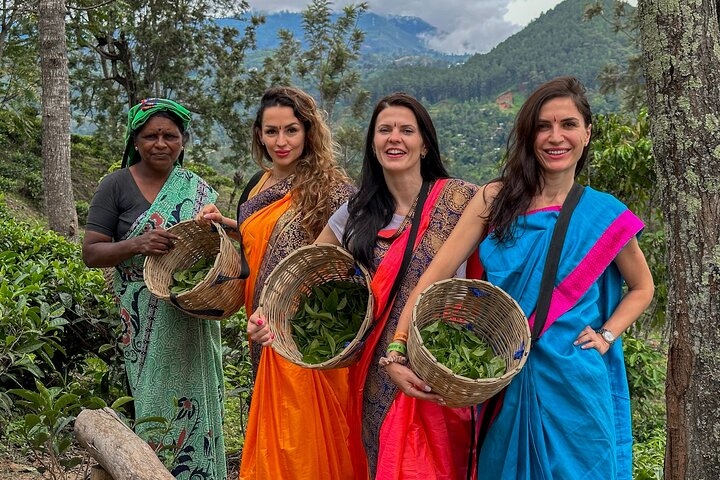 Tea Plantation Tour in Ella, Sri Lanka - Photo 1 of 18